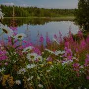 Очень Красивые Песни О Любви Песни Трогают Душу
