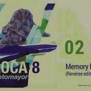 Memory Lane Reverse Edit Nacho Sotomayor