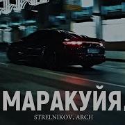 Strelnikov Arch Маракуйя