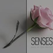 Senses Zero Project