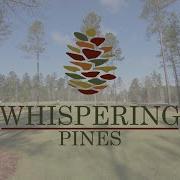 Welocome To Whispering Pines