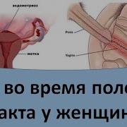 Эротика Видео Почему Натирает Вагину
