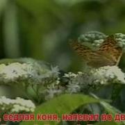 Долалай Караоке