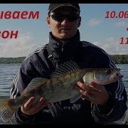 Df Безумный По Природе Убийца