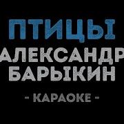Минусовка Барыкин Птицы