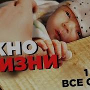 Дар Простушки Начало