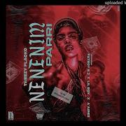 Nenenim Parri Feat Fatboy 6 3 Lil Boy A Aires Treezy Flacko