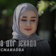Безамо Дог