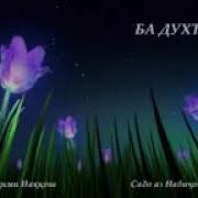 Мавлуд Муборак Духтарам