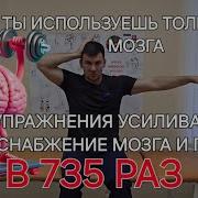 Упражнение Увеличивает Кровоснабжение Антон Алексеев
