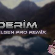 Elsen Pro Anar Qasimzade Giderim