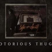 Notorious Thugs