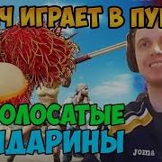 Папича Ловят Стримснайперы 2