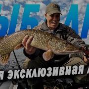 Все Что В Жизни Есть У Меня