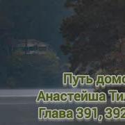 Путь Домой Глава 391 Анастейша Тиллманд