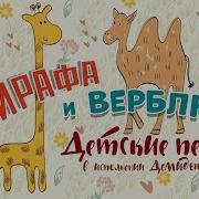 Жирафа И Верблюда Альбом