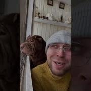 Опять Понедельник Видео Приколы
