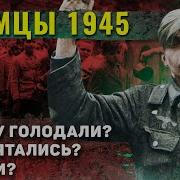 Немцы Во Время Войны