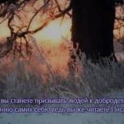 Сура Аль Бакара Корова Аят 28