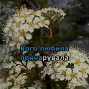В Саду Гуляла Караоке