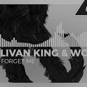 Wooli Don T Forget Me