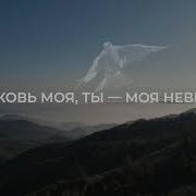 Скоро Я Приду За Вами Братья Минус
