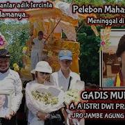 Ngaben Bali