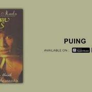 Puing Iwan Fals