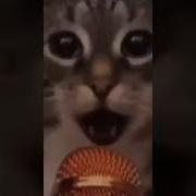 Раша Раша Держава Наша 0 5