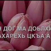 Дала Декъал Йойла Хьо Мама