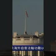 海外组织部