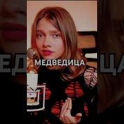 Квашеная Мумий Тролль Медведица