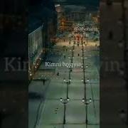 Бировни Хакини Ейиш