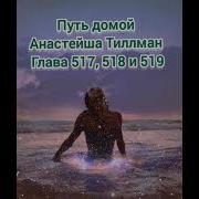 Путь Дамой Анастейша 518 519 520