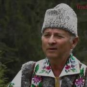 Nicolae Glib Stejărel Mândru Frumos