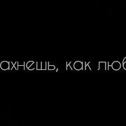 Баста Ты Пахнешь Как Любовь