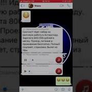 Зарплата 800000 Поднимать Пингвинов