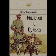 Булька Лев Николаевич Толстой