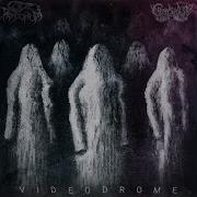 Brain Damage Code Pandorum