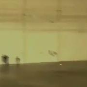 Девона Бдай