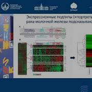 Владимир Стрельников