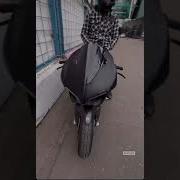 Рома R Adik Loc Dog Бразилец До Завтра