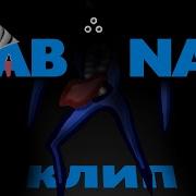 Набнаб Клип