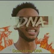 Dna Ali Tomineek