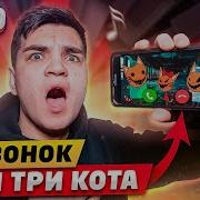 Вова Позвонил Три Кота