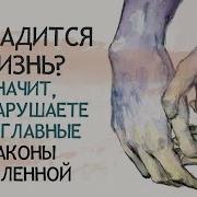 Сергей Шейкин Законы Вселенной
