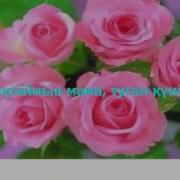 Нурын Токкен Маган Минус