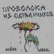 Дождь Алена Швец