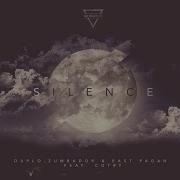 Duplo Silence Feat Cotry