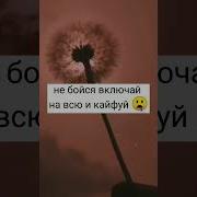 Включай На Всю И Кайфуй